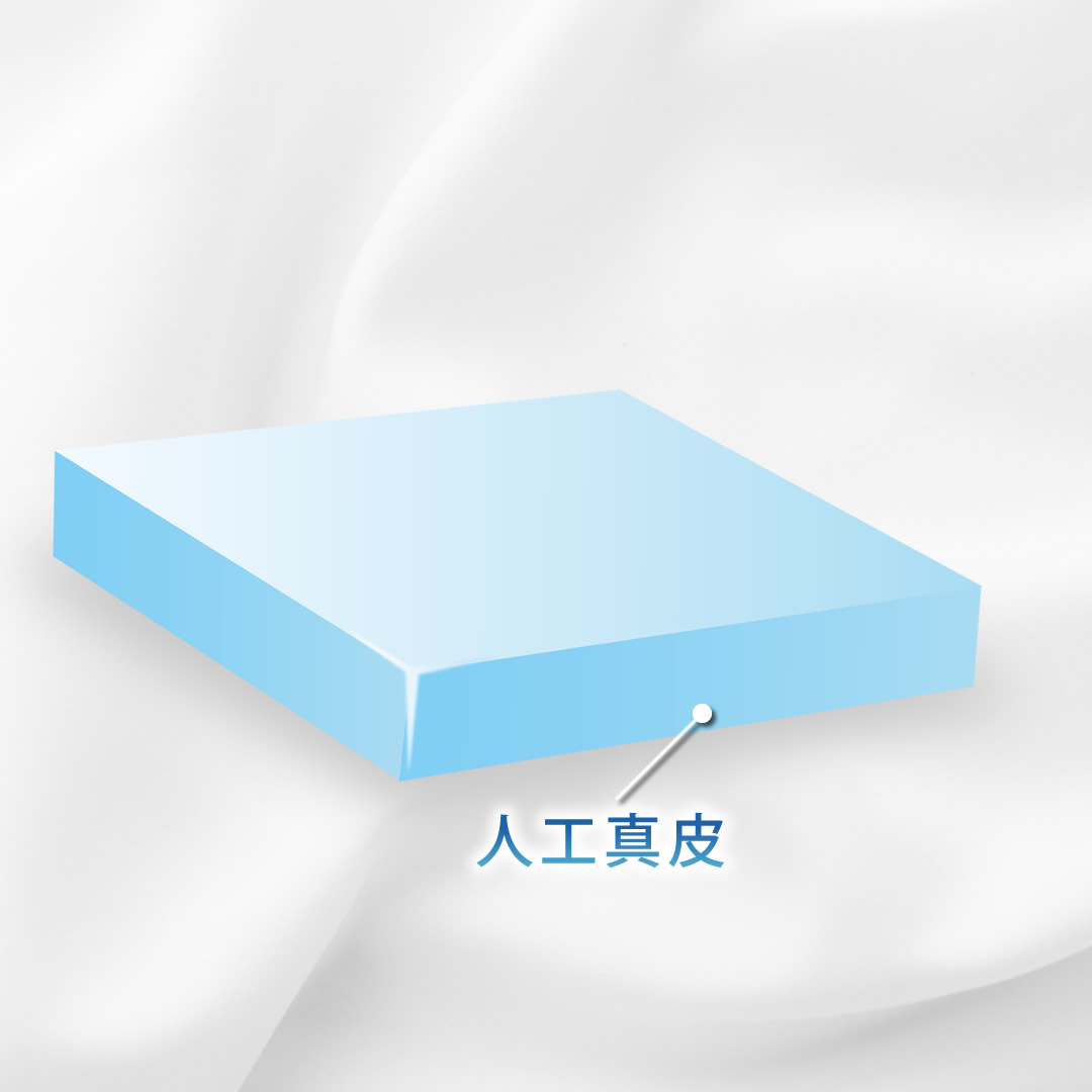 人工真皮のイラスト